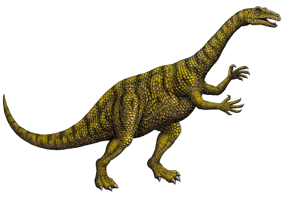 Plateosaurus